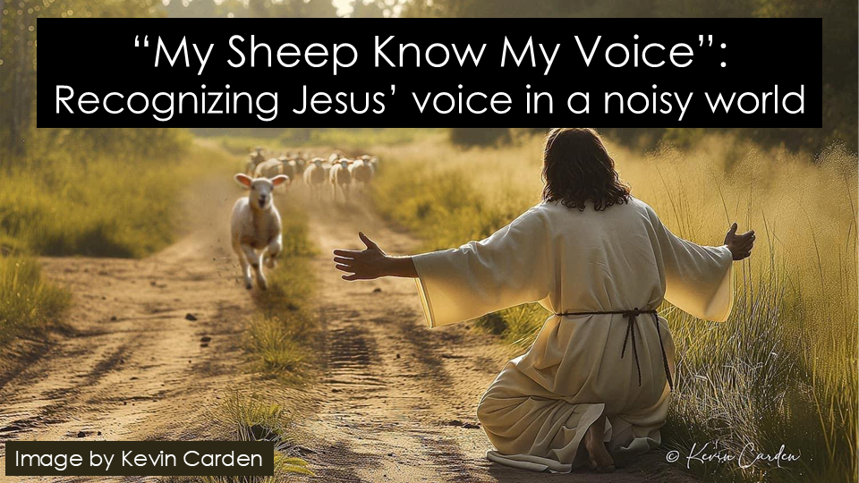 Image created by Kevin Carden